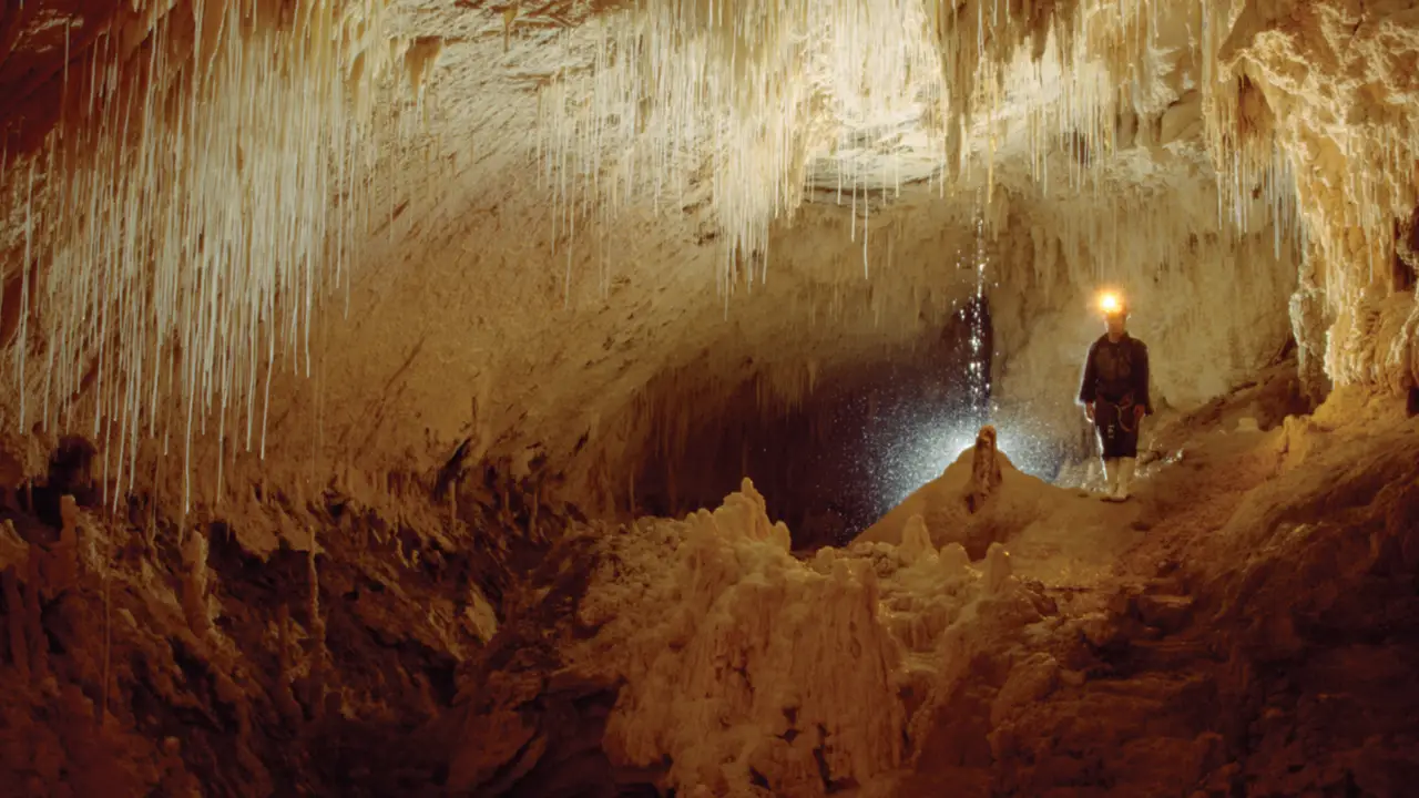 Caving Adventures New Zealand Top 5 Caves to Explore